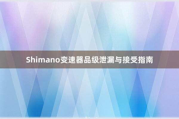 Shimano变速器品级泄漏与接受指南